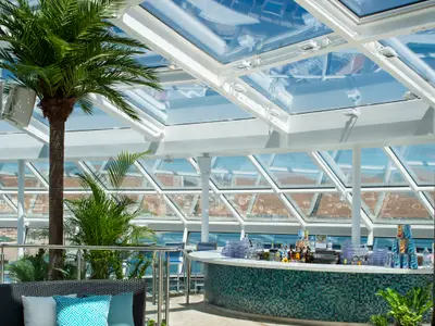 Heller Barbereich auf der Spectrum of the Seas unter einem Glasdach mit Palmen. Der Panoramablick zeigt eine Küstenstadt. Die Bar ist mit Getränken und Gläsern bestückt.