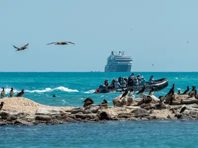Passagiere in einem Zodiac-Schlauchboot beobachten Seevögel, im Hintergrund liegt das Expeditionsschiff Seabourn Pursuit auf dem Meer.