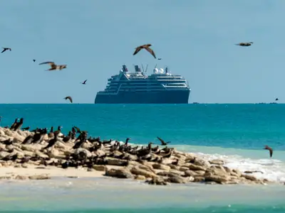 Das Expeditionsschiff Seabourn Pursuit ankert im türkisblauen Meer hinter einer flachen Insel voller Seevögel.
