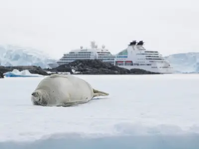Eine schlafende Robbe liegt im Vordergrund auf dem Eis, im Hintergrund ankert das Kreuzfahrtschiff Seabourn Quest.