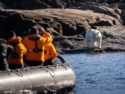 Vom Zodiac der Seabourn Venture aus beobachten Passagiere in orangefarbenen Parkas einen Eisbären an einer felsigen Küste.