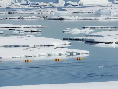 Gäste der Seabourn Venture fahren in gelben Kajaks durch eine eisige polare Landschaft mit Gletschern.