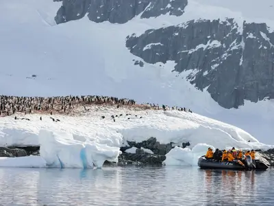 Ein Zodiac-Schlauchboot mit Gästen der Seabourn Venture fährt in der Antarktis an Eisbergen und einer großen Pinguinkolonie vorbei.