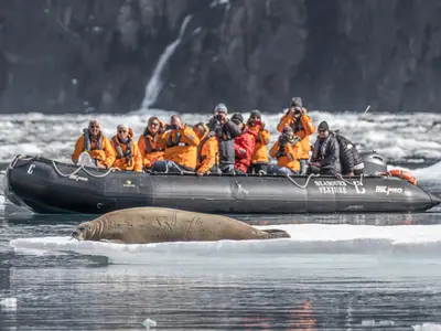 Passagiere im Zodiac der Seabourn Venture beobachten eine schlafende Robbe auf einer Eisscholle vor einer Felswand.
