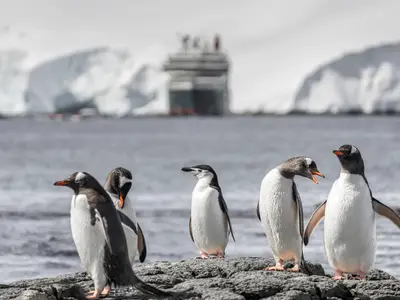 Eine Gruppe von Pinguinen auf Felsen in der Antarktis, im Hintergrund ist die Seabourn Venture unscharf vor Gletschern zu sehen.
