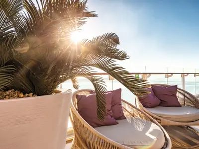 Ein sonnenverwöhntes Außendeck der Mein Schiff 2 mit Palmen und bequemen, runden Lounge-Stühlen mit violetten Kissen. Im Hintergrund ist das Meer unter einem blauen Himmel zu sehen, umrahmt von einem Glasgeländer.