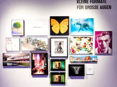 Eine Ausstellung mit gerahmten und ungerahmten Kunstwerken an einer weißen Wand. Zu sehen sind Fotos, Illustrationen und Gemälde. Kein Bild der Mein Schiff 5.