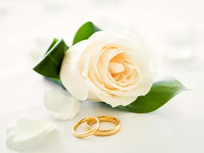 Zwei goldene Eheringe und eine cremefarbene Rose mit grünen Blättern liegen auf einem hellen Hintergrund, symbolisch für eine Hochzeit an Bord der Mein Schiff 5. Romantische Nahaufnahme.