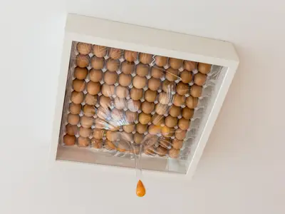Eine ungewöhnliche Kunstinstallation an der Decke der Mein Schiff 6. Zahlreiche Eier sind in einem weißen Kasten unter einer transparenten Folie angeordnet. Aus der Folie wölbt sich eine Eiform, aus der ein orangefarbener Eigelb-Tropfen herabhängt.
